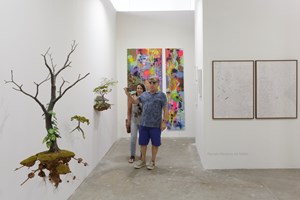 Galeria Inox, ArtRio (14–17 September 2017). Courtesy Ocula. Photo: Tiago Lima.